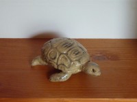 /album/galerie-photos/p1100391-jpg/