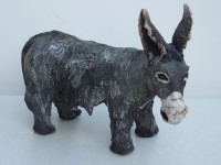 /album/animaux-divers/p1110401-jpg/