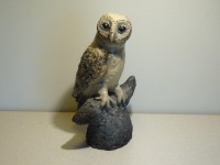 /album/animaux-divers/d42-jpg/