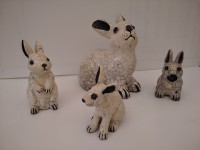 /album/animaux-divers/img-20200802-114819-jpg/